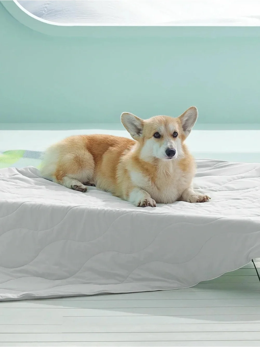 Bedsure soft light